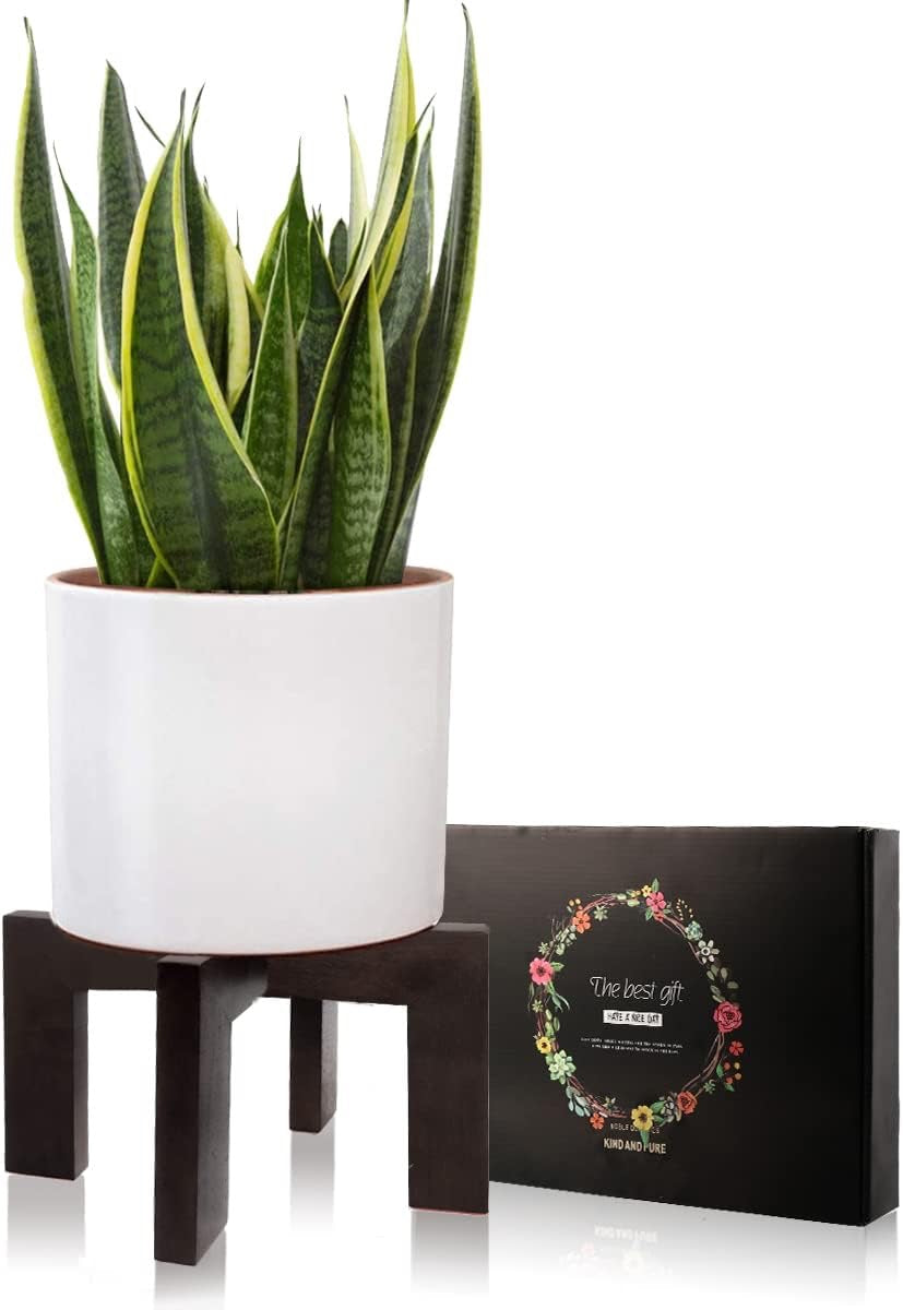 Mid-Century Modern Wood Plant Stand | Indoor & Outdoor Rattan Planter Stool (Fits 5–15” Pots)