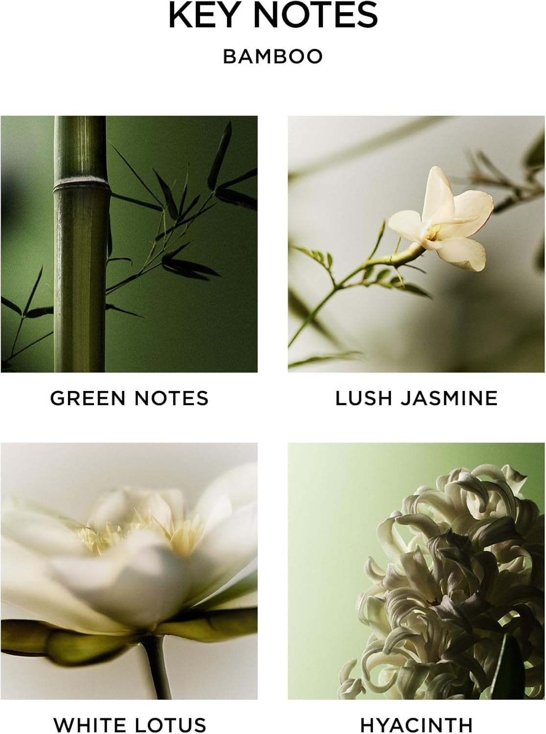 NEST New York Bamboo 3-Wick Candle | 21.2 oz Luxury Scented Candle with Reusable Glass Vessel