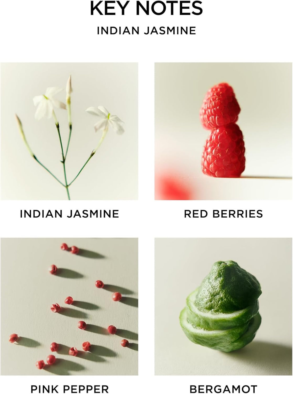 NEST New York Indian Jasmine Reed Diffuser | 5.9 fl oz Luxury Flame-Free Home Fragrance (Up to 90 Days)