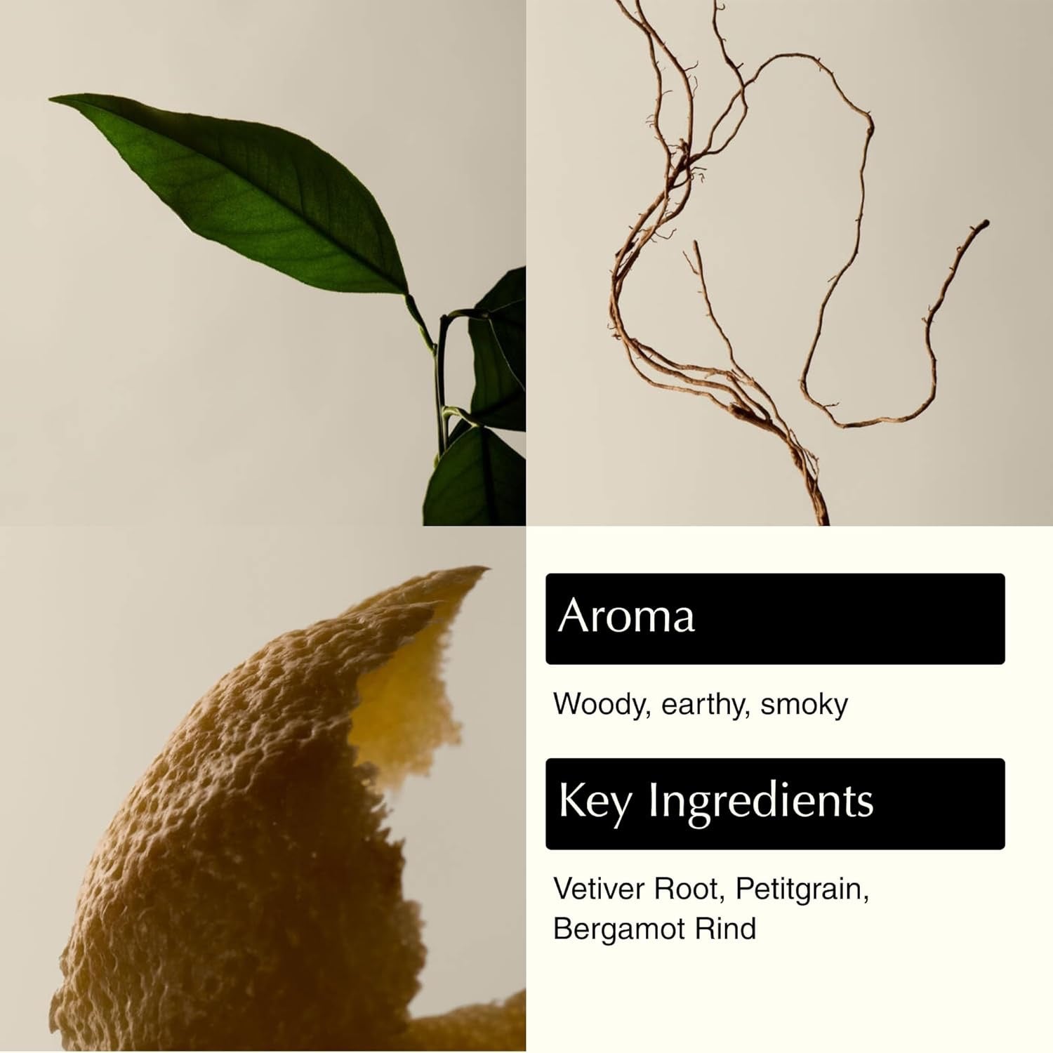 Aesop Reverence Aromatique Hand Wash 500mL | Woody, Earthy Gentle Exfoliating Cleanser