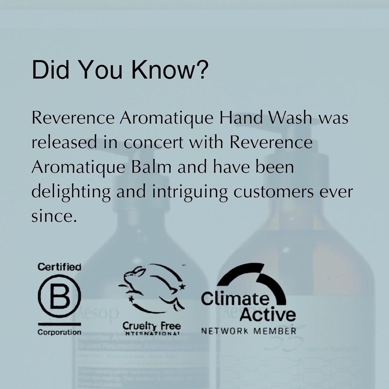 Aesop Reverence Aromatique Hand Wash 500mL | Woody, Earthy Gentle Exfoliating Cleanser