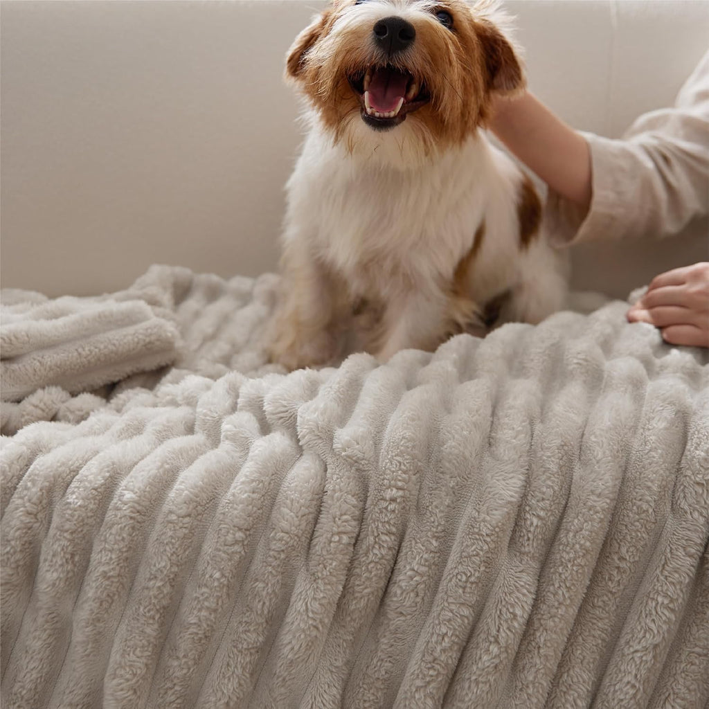 Bedsure GentleSoft Beige Fleece Throw Blanket | Cozy Lightweight Couch Blanket 50" x 70"