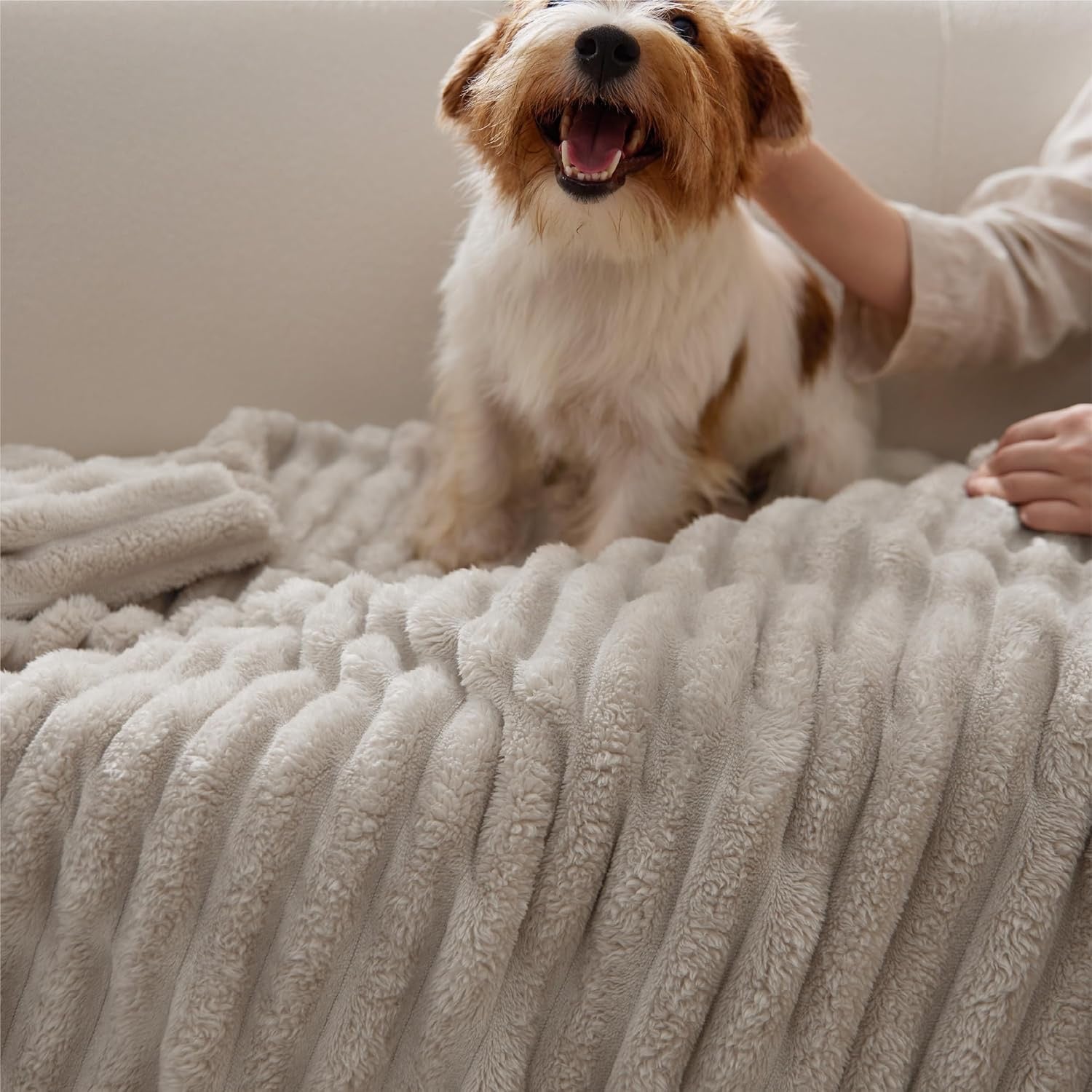 Bedsure GentleSoft Beige Fleece Throw Blanket | Cozy Lightweight Couch Blanket 50" x 70"